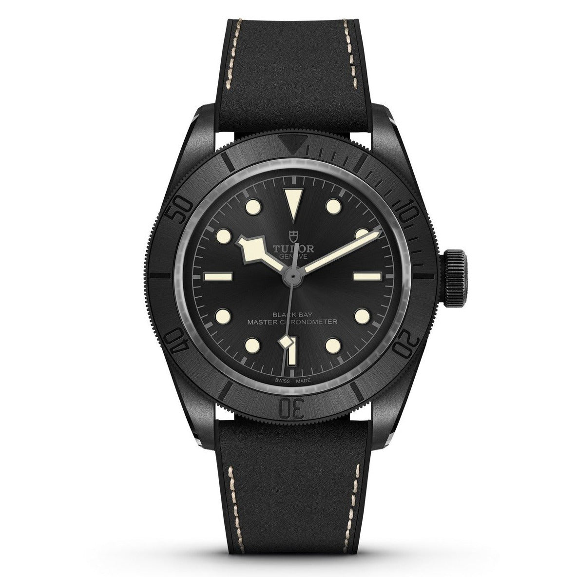 Tudor Black Bay
